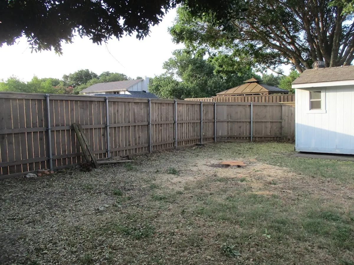 Cleared yard after professional tree removal in Newport Coast
